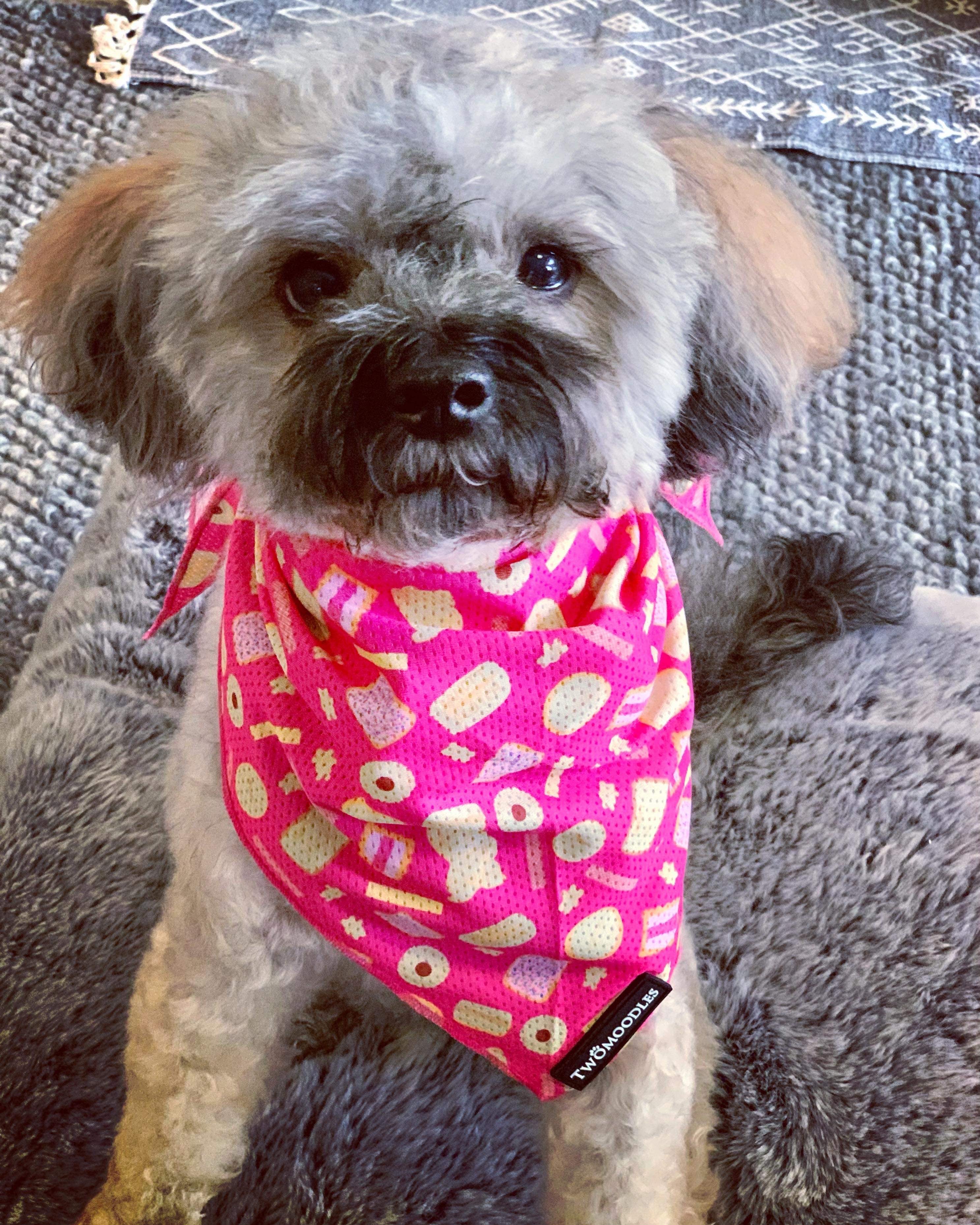 ARMUTTS BISCUITS BANDANA - Twomoodles